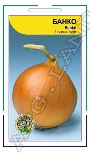 Цибуля Банко - 1 г А (Syngenta) Цибуля Банко - 1 г А (Syngenta)