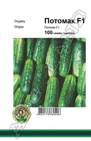 Огірок Потомак F1 - 100 насінин А (Seminis) Огірок Потомак F1 - 100 насінин А (Seminis)