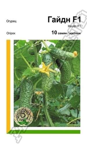 Огірок Гайдн F1 - 10 насінин А (Rijk Zwaan) Огірок Гайдн F1 - 10 насінин А (Rijk Zwaan)