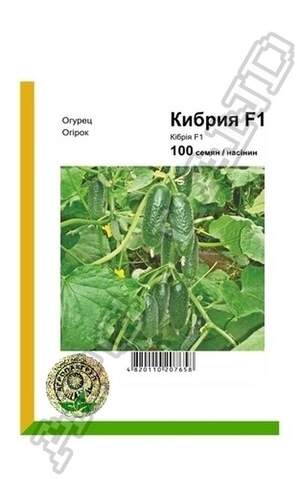 Огірок Кібрія F1 - 100 насінин А (Rijk Zwaan)