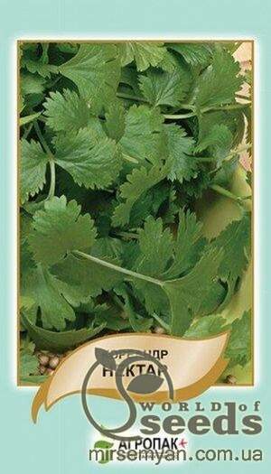 Кінза Нектар - 3 грами А Кінза Нектар - 3 грами А