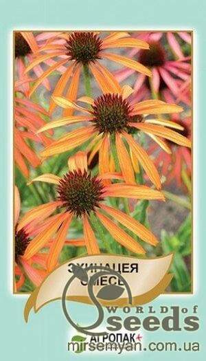 Ехінацея, суміш – 0,3 грама А Ехінацея, суміш – 0,3 грама А