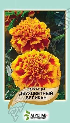 Чорнобривці відхилені Двоколірний Велетень - 0,5 грам А Чорнобривці відхилені Двоколірний Велетень - 0,5 грам А