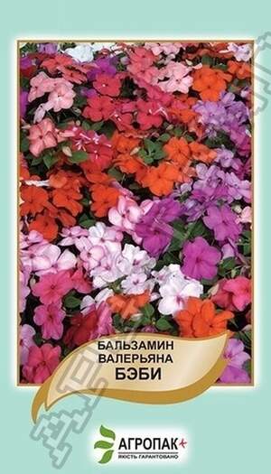 Бальзамін валеріана Бебі, суміш - 0,1 грам А Бальзамін валеріана Бебі, суміш - 0,1 грам А