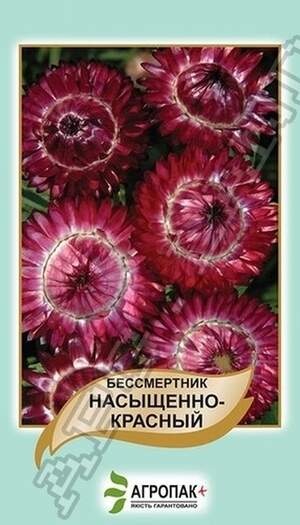 Безсмертник Насичено-червоний - 0,2 грами Безсмертник Насичено-червоний - 0,2 грами