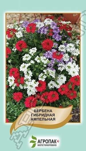 Вербена Гібридна ампельна, суміш - 0,2 грама Вербена Гібридна ампельна, суміш - 0,2 грама