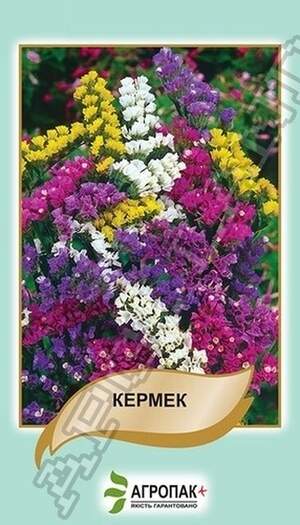 Кермек виїмчастий, суміш – 0,2 грама А Кермек виїмчастий, суміш – 0,2 грама А