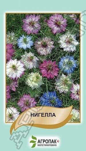 Нігелла дамасська, суміш - 0,5 грам Нігелла дамасська, суміш - 0,5 грам