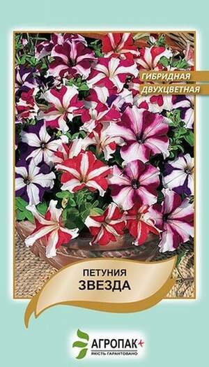 Петунія гібридна двокольорова Зірка, суміш F1 - 20 насінин, А