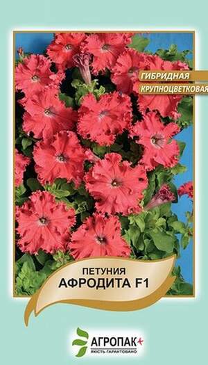 Петунія великоквіткова бахромчаста низькоросла Афродіта F1, лососева - 10 насінин, А