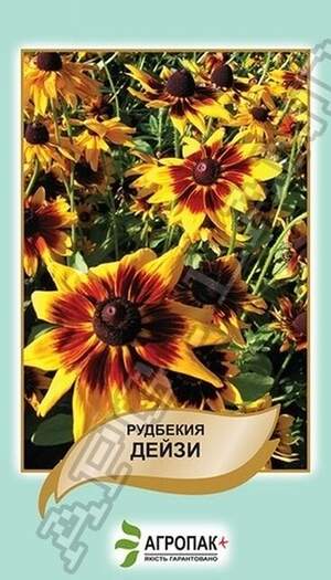 Рудбекія Дейзі – 0,1 грам, А Рудбекія Дейзі – 0,1 грам, А