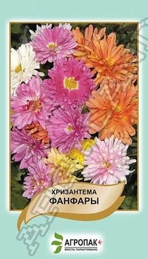 Хризантема індійська Фанфари, суміш – 0,1 грам