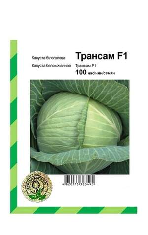 Капуста білокачанна Трансам F1 - 100 насінин А (Bejo Zaden) Капуста білокачанна Трансам F1 - 100 насінин А (Bejo Zaden)