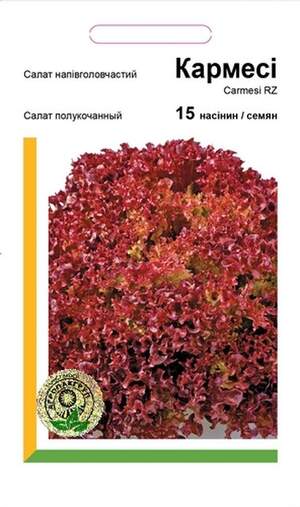 Салат напівкочанний Кармесі - 15 насінин А (Rijk Zwaan) Салат напівкочанний Кармесі - 15 насінин А (Rijk Zwaan)