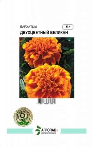 Чорнобривці відхилені Двоколірний Велетень - 5 грам А Чорнобривці відхилені Двоколірний Велетень - 5 грам А