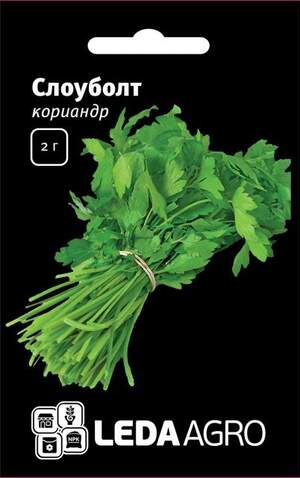Коріандр Коріандр