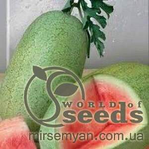 Кавун Чарльстон Грей 500 г. ( Коуел)