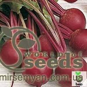 Буряк столовий Пабло F1 5 000 нас. (Bejo)