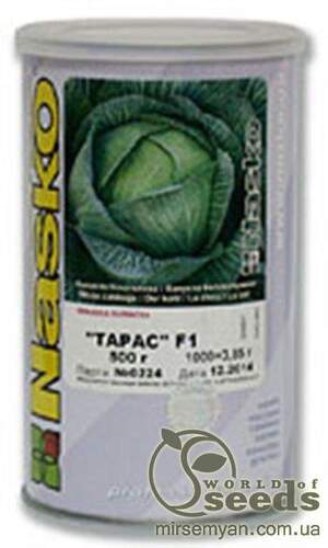 Капуста пізня 