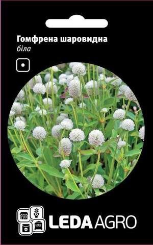 Гомфрена біла куляста 0,1 г L (Hem Zaden BV Netherlands)