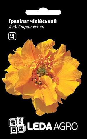 Гравілат чилійський 