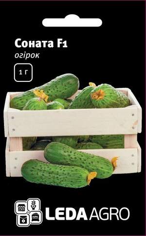 Огірок Соната F1 – 1г. L (Рійк Цваан/Rijk Zwaan)