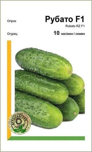 Огірок Огірок