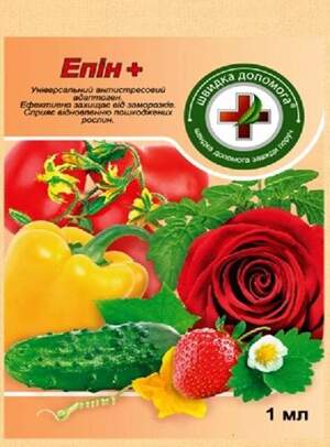 Стимулятор зростання Епін плюс 1 мл Стимулятор зростання Епін плюс 1 мл