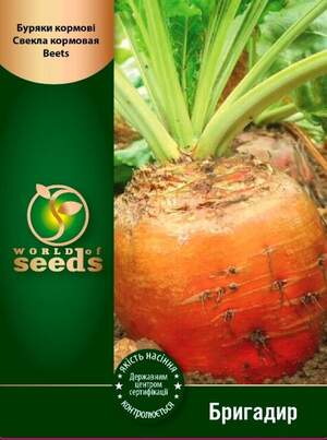 Насіння буряка кормового Бригадир 100 г (Holland Seeds) Насіння буряка кормового Бригадир 100 г (Holland Seeds)