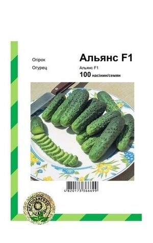 Огірок Огірок