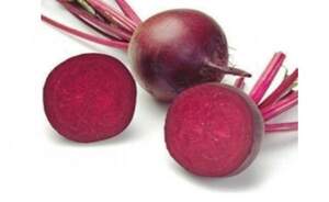 Буряк столовий Акела F1 500 000 нас. (Rijk Zwaan)