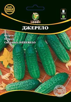 Огірок Огірок