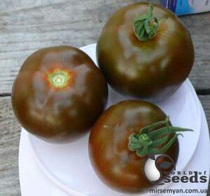 Насіння томату 