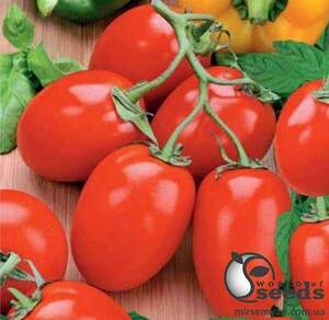 Насіння томату 