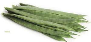 Квасоля спаржева 