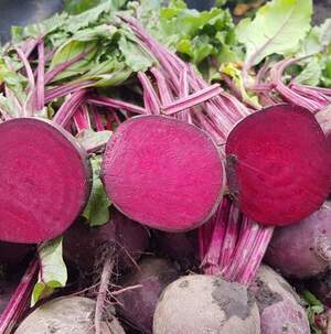 Буряк Скарлет F1 50 000 нас. Hazera