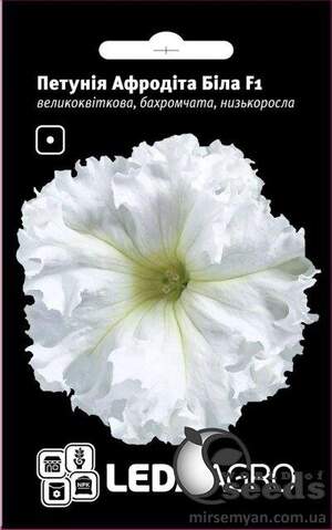 Петунія Афродіта F1 Біла 10 семена Л