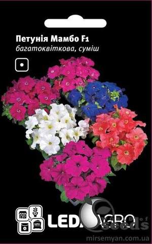 Петунія Мамбо F1, багатоквіткова суміш, 10 семена Л