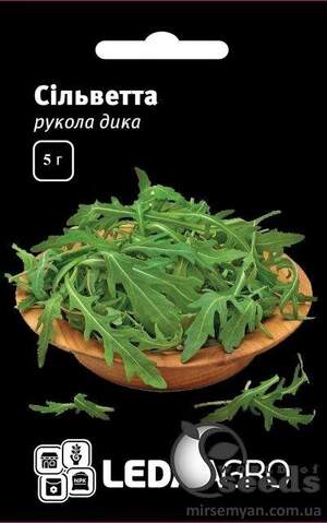 Рукола дика 