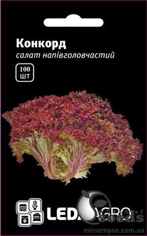 Салат Конкорд 100 семена Л Салат Конкорд 100 семена Л