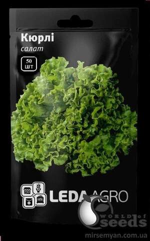 Салат Кюрлі, батавія 50 семена Л
