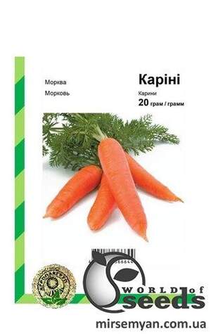 Морква Морква