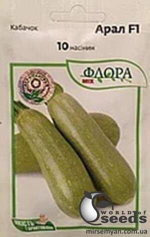 Кабачок Кабачок