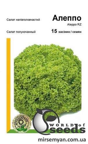 Салат Алеппо 15 нас. А (Rijk Zwaan) Салат Алеппо 15 нас. А (Rijk Zwaan)