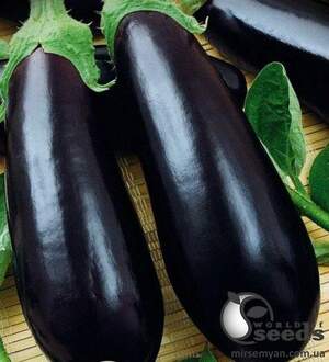 Баклажан KS 1258 F1 1000 нас. (Kitano seeds) Баклажан KS 1258 F1 1000 нас. (Kitano seeds)