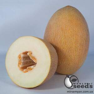 Диня KS 6188 F1, 1000 семена Кітано, (KITANO Seeds) Диня KS 6188 F1, 1000 семена Кітано, (KITANO Seeds)