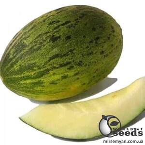 Диня KS 775 F1, 100 семена Кітано, (KITANO Seeds) Диня KS 775 F1, 100 семена Кітано, (KITANO Seeds)