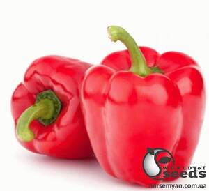 Насіння перцю Стріт F1 500 нас. (Lark Seesd USA)