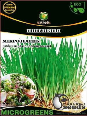 Насіння Мікрозелень Пшениці, Мікрогрін 20г WoS Насіння Мікрозелень Пшениці, Мікрогрін 20г WoS