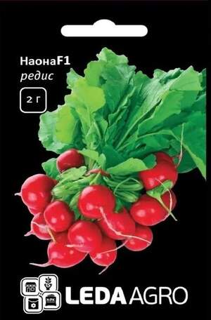 Редис Наона F 1 2гр. L (Minami) Редис Наона F 1 2гр. L (Minami)